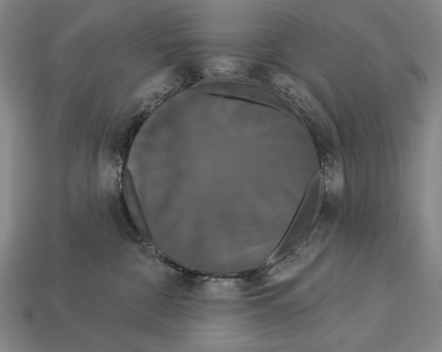 X0000113060332200909250914