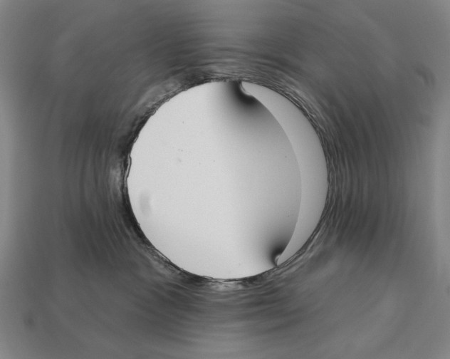 X0000113060333200909250914