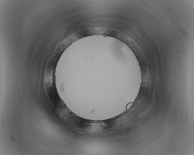 X0000113060334200909250914