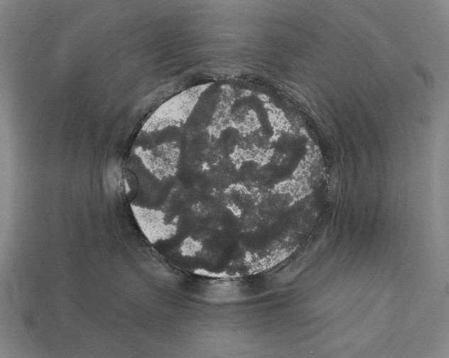 X0000113060335200909250914