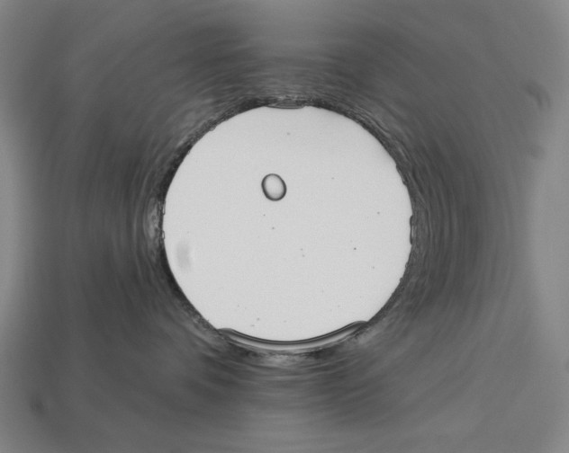 X0000113060336200909250914