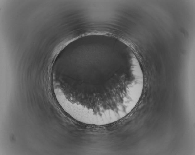 X0000113060337200909250913