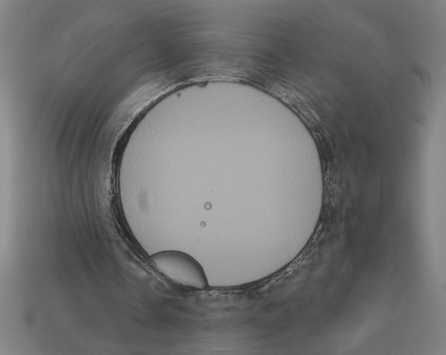 X0000113060338200909250913