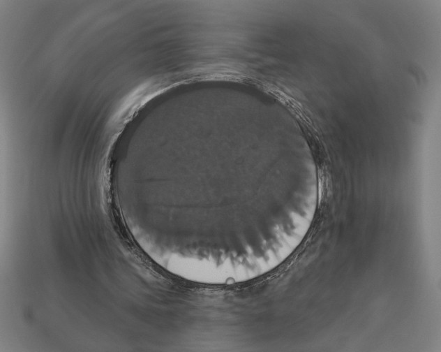 X0000113060339200909250913