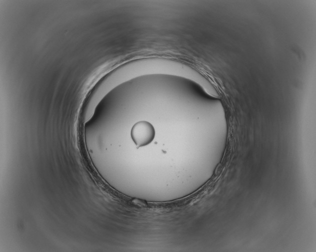 X0000113060340200909250913