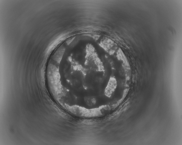 X0000113060341200909250913