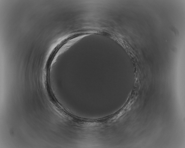 X0000113060342200909250913