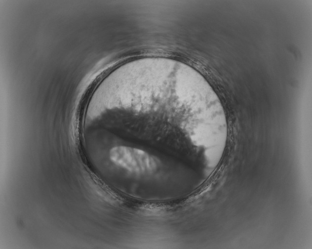 X0000113060343200909250913