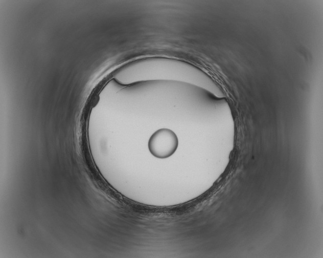 X0000113060344200909250913