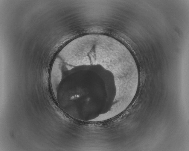 X0000113060345200909250913