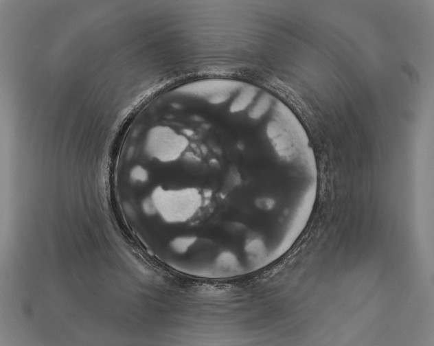 X0000113060346200909250913