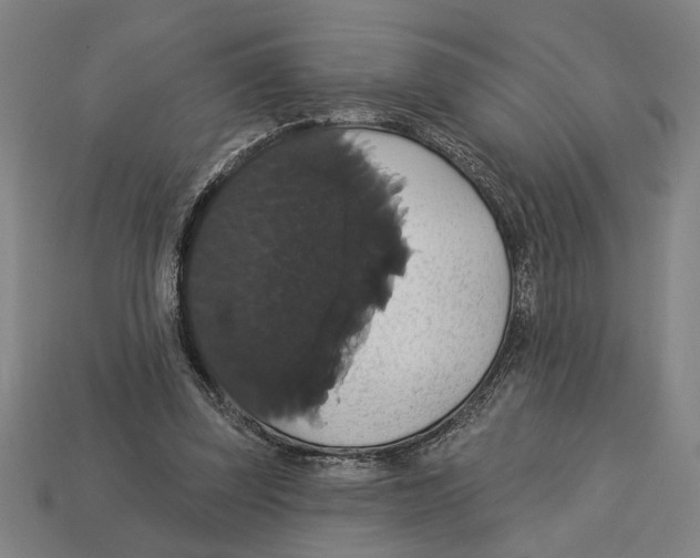 X0000113060347200909250913