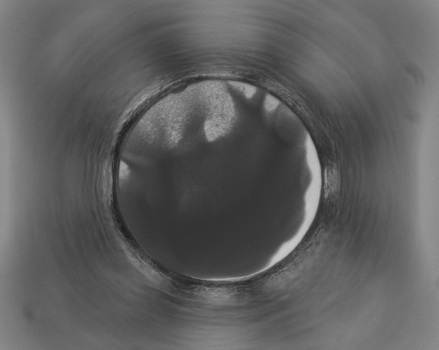 X0000113060349200909250913