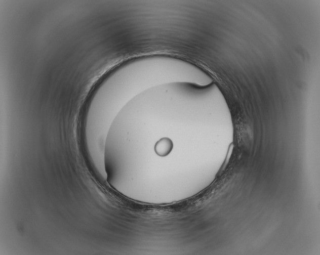 X0000113060350200909250913