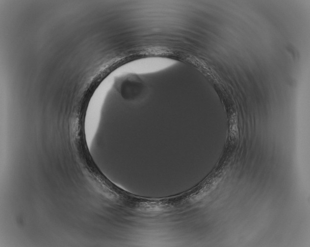 X0000113060351200909250913