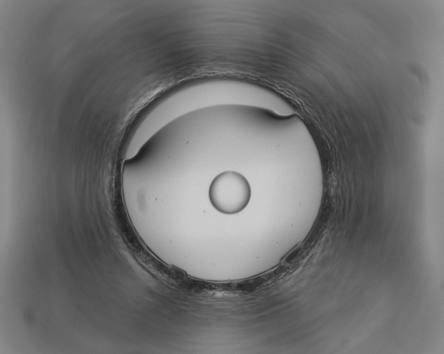 X0000113060352200909250913