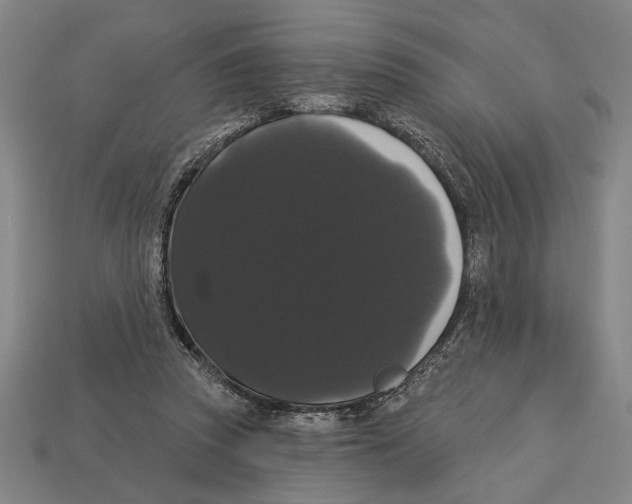 X0000113060353200909250913