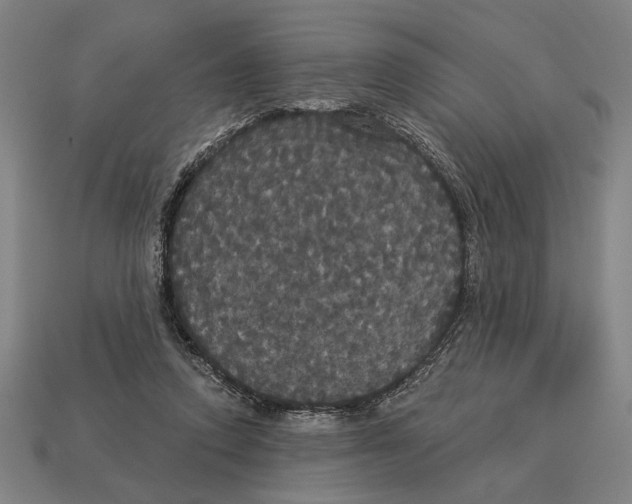 X0000113060354200909250913