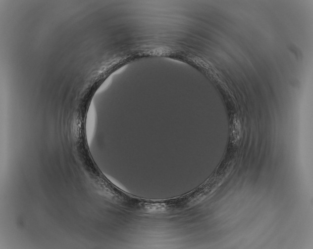 X0000113060355200909250913