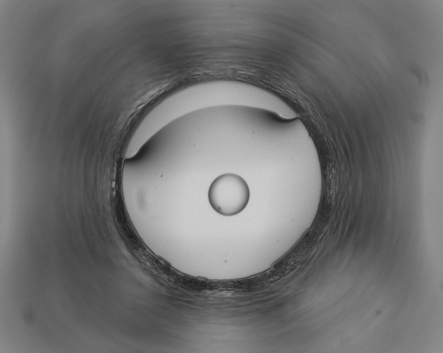 X0000113060356200909250913