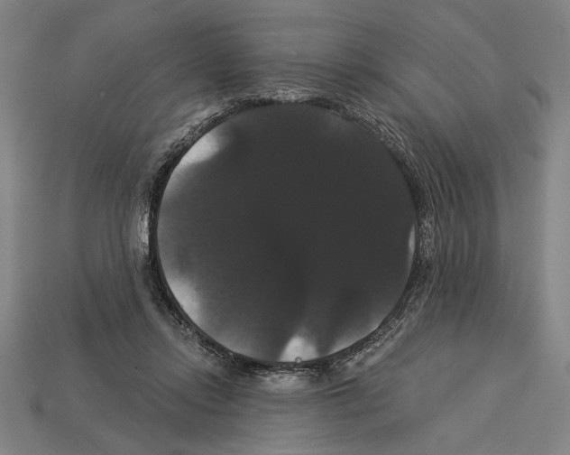 X0000113060358200909250913