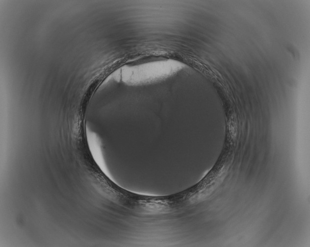 X0000113060359200909250913