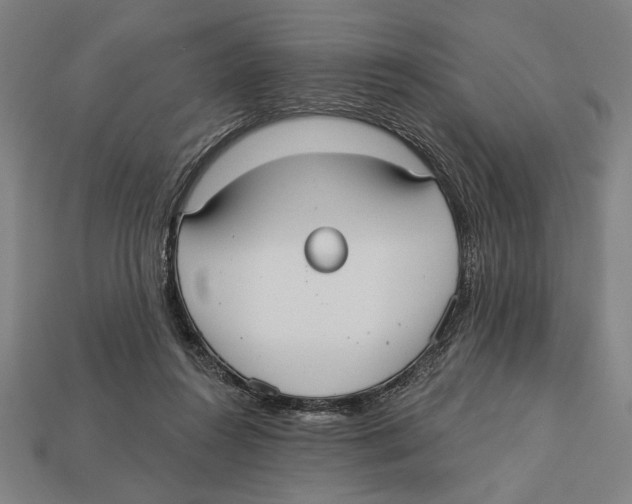 X0000113060360200909250913