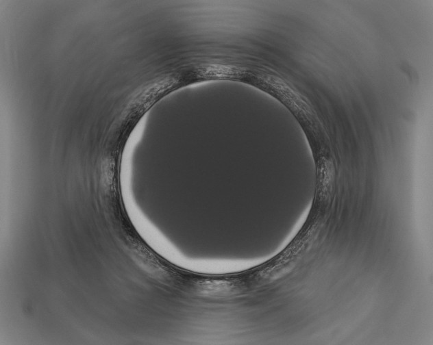 X0000113060361200909250913