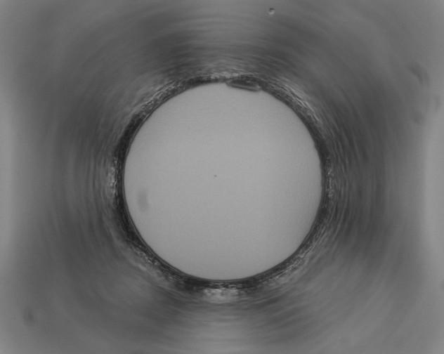 X0000113060362200909250913