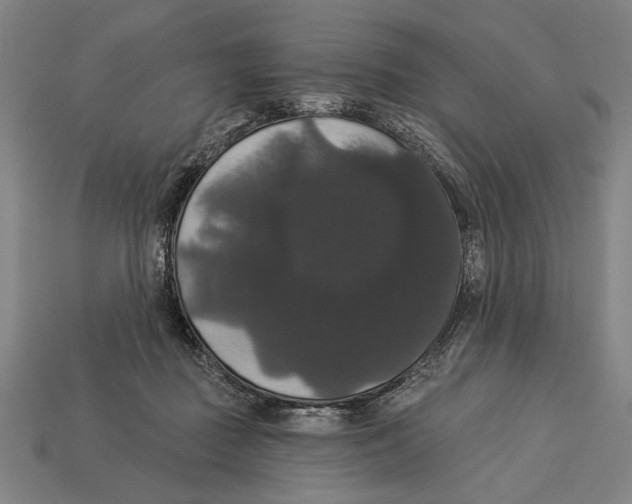 X0000113060363200909250913