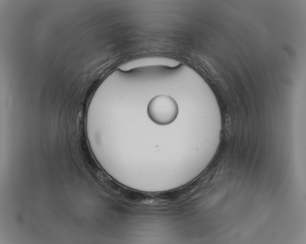 X0000113060364200909250913