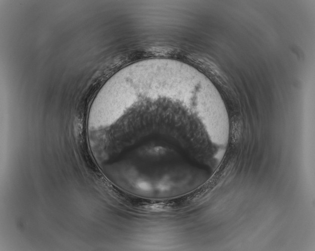 X0000113060365200909250913