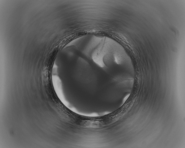 X0000113060366200909250913