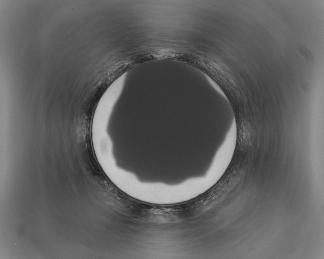 X0000113060367200909250913