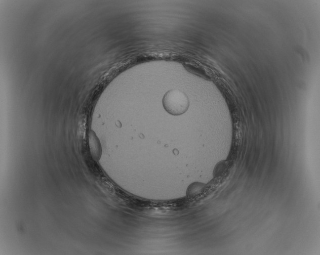 X0000113060368200909250913