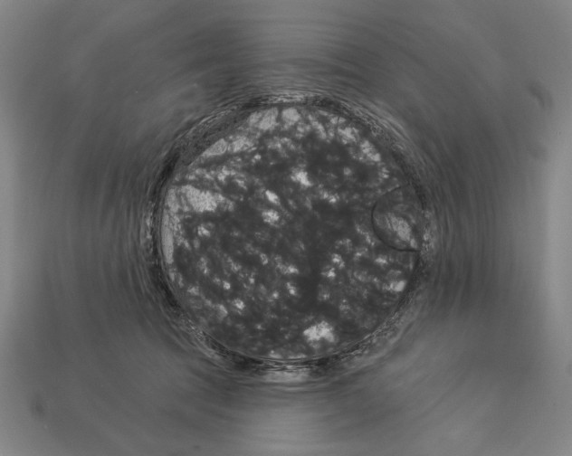 X0000113060369200909250913