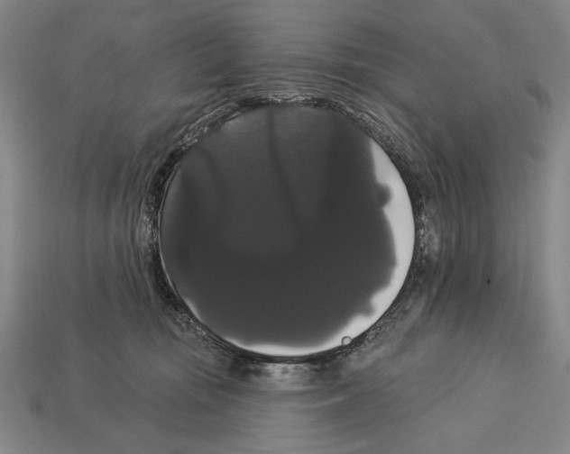 X0000113060371200909250913