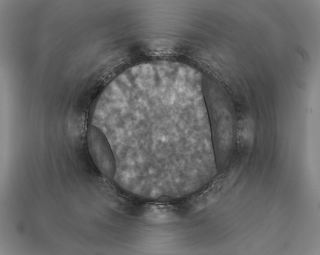 X0000113060372200909250913