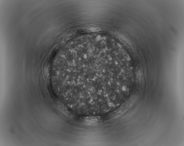 X0000113060373200909250913