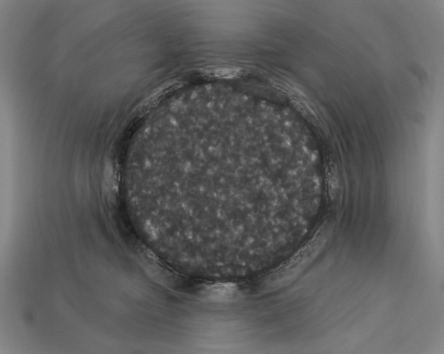 X0000113060374200909250913