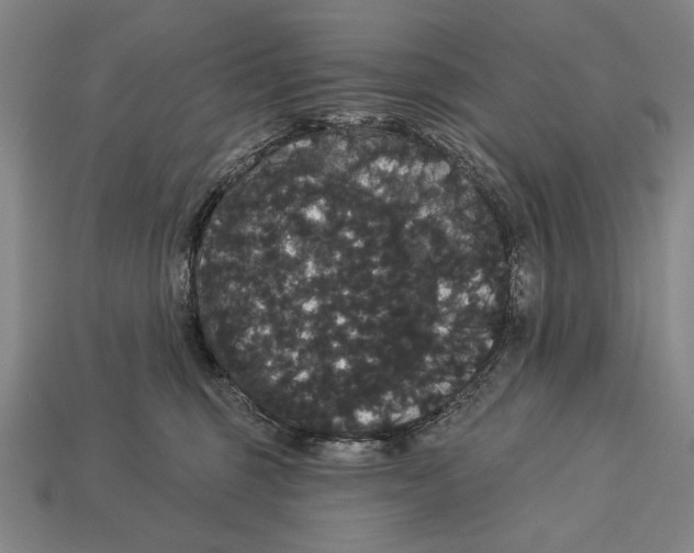 X0000113060375200909250913