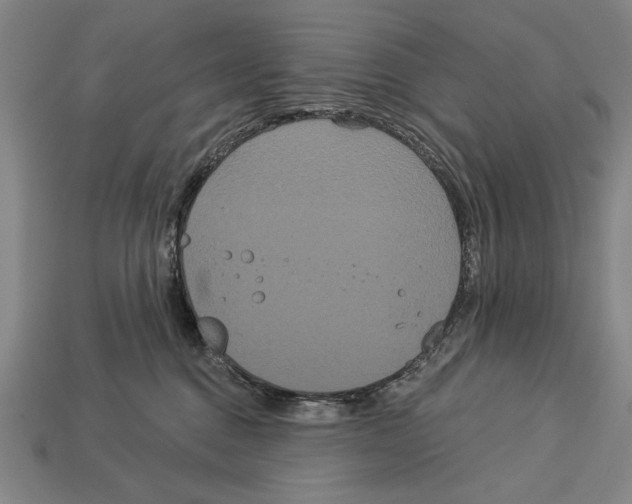 X0000113060376200909250913