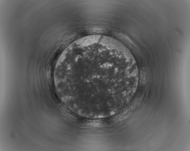 X0000113060377200909250914