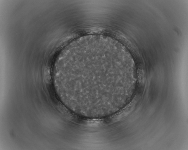 X0000113060378200909250914