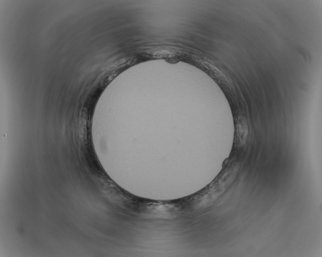 X0000113060379200909250914