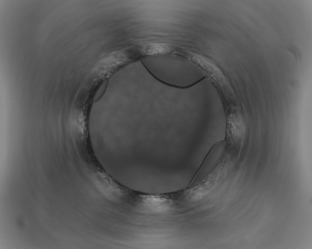 X0000113060380200909250914