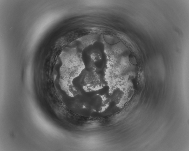 X0000113060381200909250914