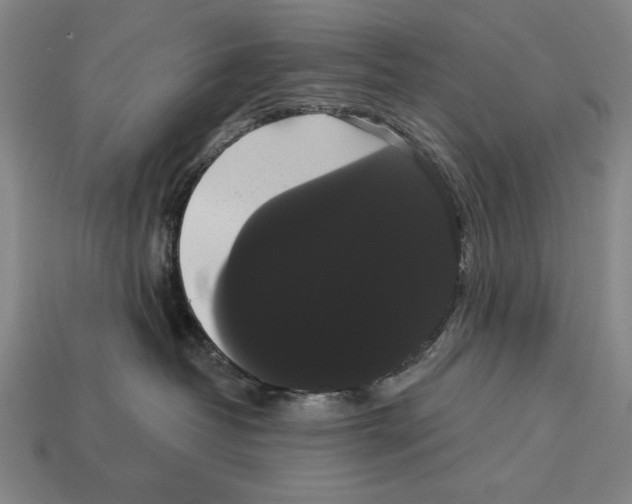 X0000113060382200909250914