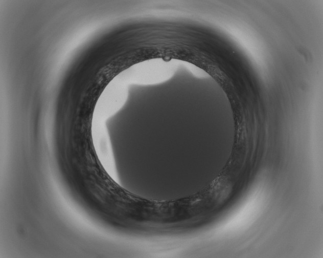 X0000113060383200909250914