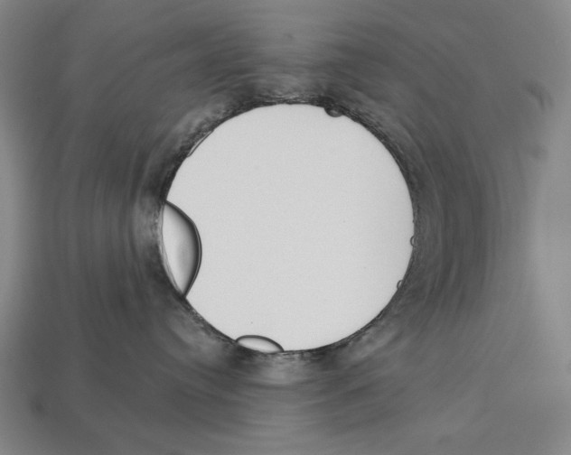 X0000113060384200909250914